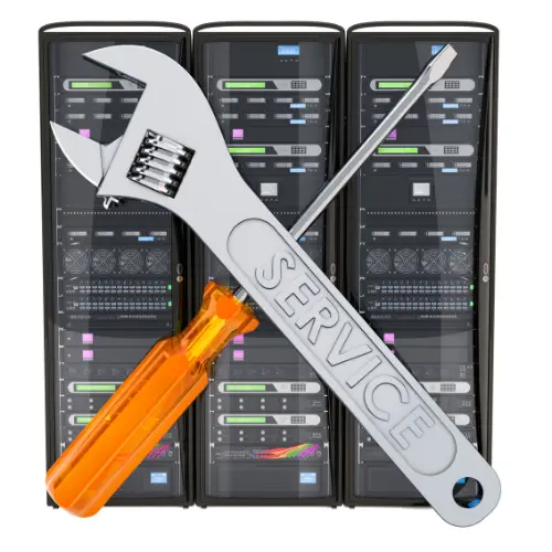 Soporte técnico en el lugar
